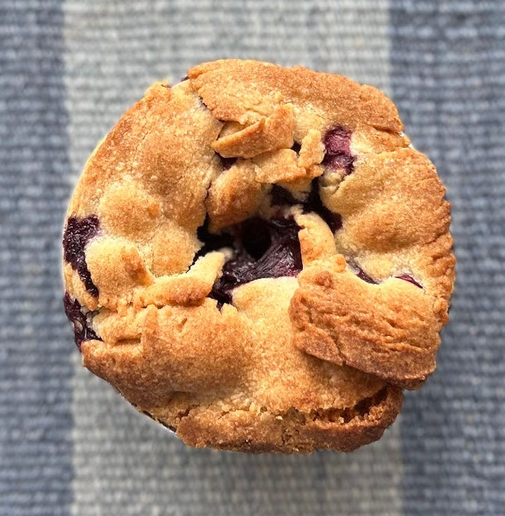 Organic Blueberry Cobbler